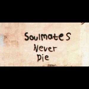 Meet your Posher, Eva